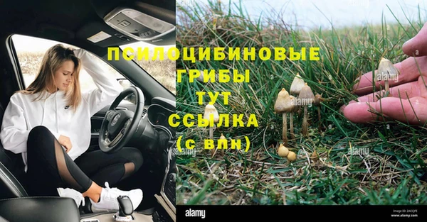 COCAINE Алексеевка