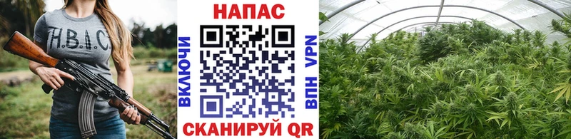 Бошки Шишки гибрид  дарнет шоп  Каменск-Уральский 